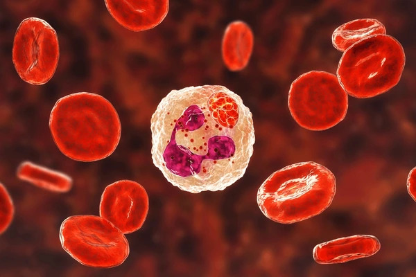 Bloodborne Pathogens Training